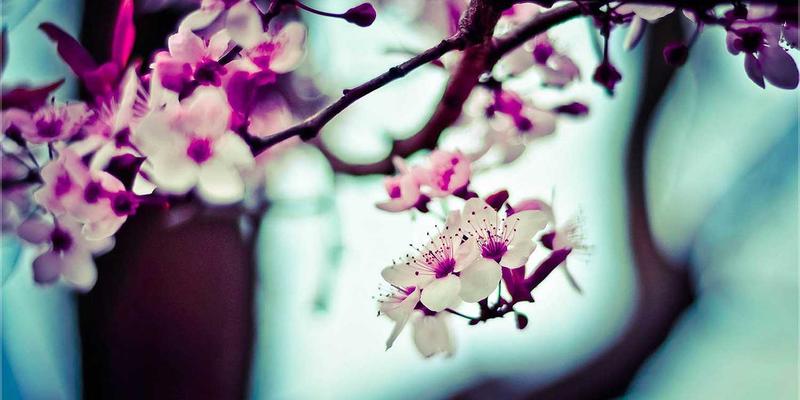 阿萨卢耶交通演变：从骆驼商队到巨型油轮——见证伊朗能源走廊的世纪跨越