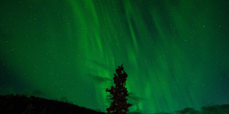 阿萨卢耶水下考古新发现：揭秘波斯湾沉船与古代珍珠贸易网络